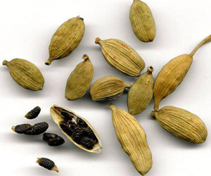 CARDAMOMO, la spezia delle  mille e una notte.